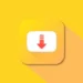 Video Downloader