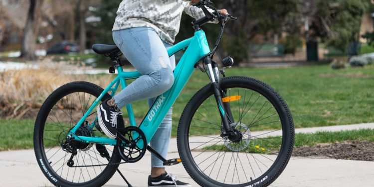 Electric Bike Selection