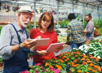 The Growing Demand for Primavera P6 Training in Project-Driven Sectors